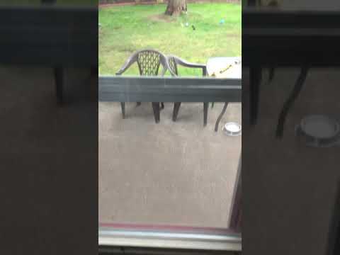 May 8, 2021 6:15pm PST