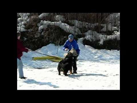 Argo - obrany 18. 3. 2006