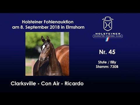 Holsteiner Fohlenauktion | Nr. 45 v. Clarksville - Con Air