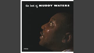 Rollin' Stone by Muddy Waters