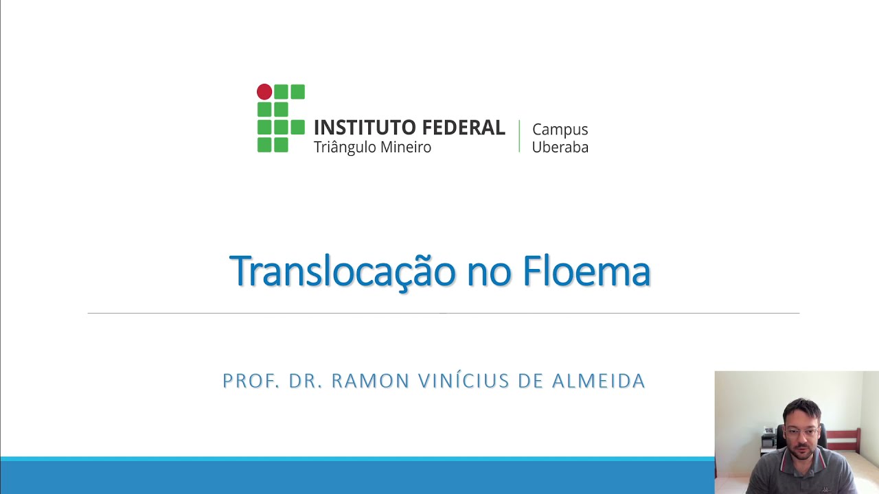 Fisiologia Vegetal - Translocação no Floema.