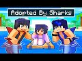 Adopted by SHARK BOYS in Minecraft!
