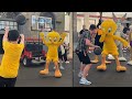 Movie World Looney Tunes Play Basketball With A REAL Basketball Team NZ Breakers