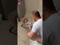 love between dad and baby is so beautiful to watch 😍 True MomLife 🥳 #truemomlife