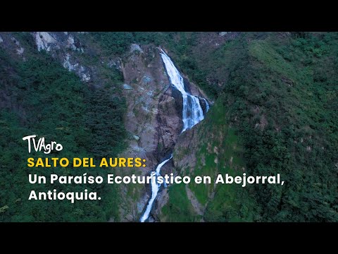 Salto del Aures en medios