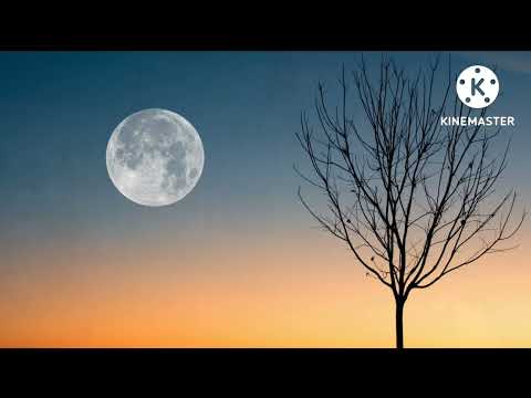 Deep Sleep Music 18 Minutes #RelaxingMusicdeepsleepmusicanxiety #Aniketpihu