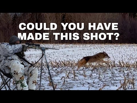 The Tough Call Every Hunter Faces | Coyote Hunting