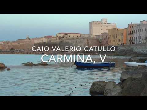 Despacito di Fonsi ft Daddy Yankee e carme 5 di Catullo: cover in Latino! Liceo V.Fardella - Trapani
