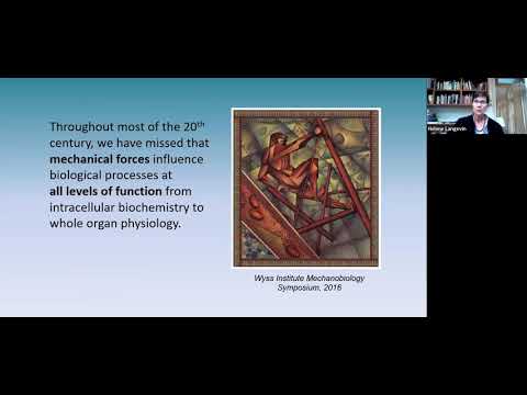 Health Professions Session: Connective Tissue, Stretching and Cancer