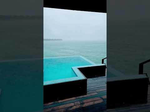 කොහොමද වැස්ස 🌧️⛱️