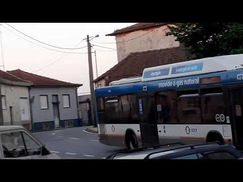 STCP linha 805 veiculo 3142