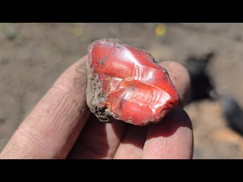 New Opal Deposit Discovered in the Maury Mountains of Central Oregon! Fire Opal?