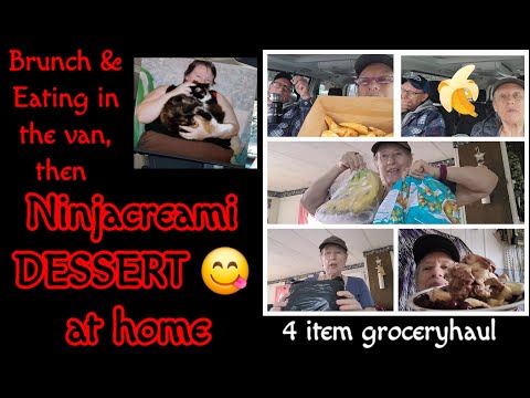 Apr12/24 Me home ,2cats & we sobeys 4 supper, then 4 item groceryhaul & Ninjacreami Deluxe dessert