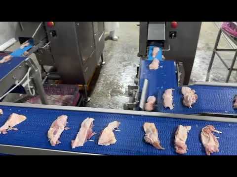Borncut production line footage