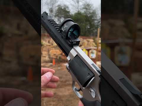 Taurus Raging Hunter .460 S\u0026W