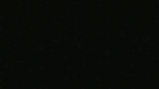 The Silhouettes NEW SONG.