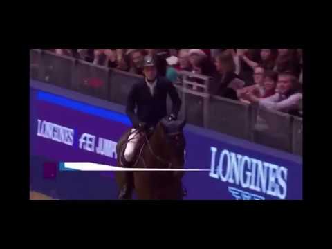 B Hengste: The Sinner v. Sanvaro (Sandro Boy x Calvaro Z x Quick Star)