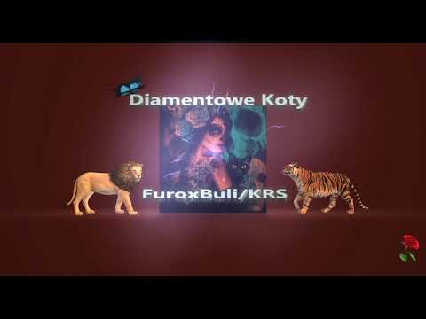 Furo / Buli - Diamentowe Koty.