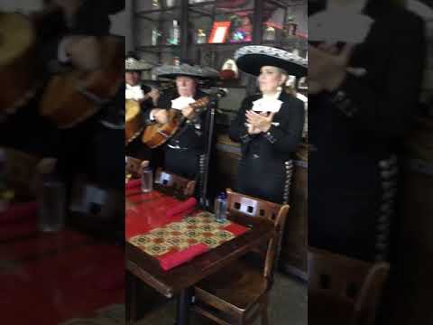 Promotional video thumbnail 5 for Mariachi Mexico 88 de