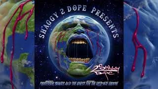 Shaggy 2 Dope Presents : Professor Shaggs and the Quest for the Ultimate Groove (Full E.P.)