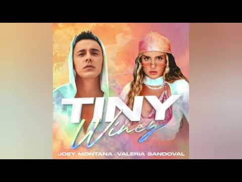 Tiny Winey - Joey Montana audio