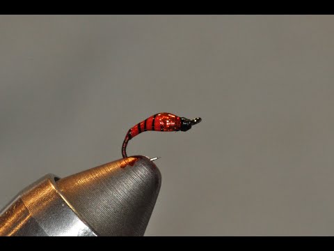 Tying the Demon Nymph a Winter Trout Fly
