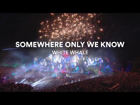 White Whale - Somewhere Only We Know (Music Video)