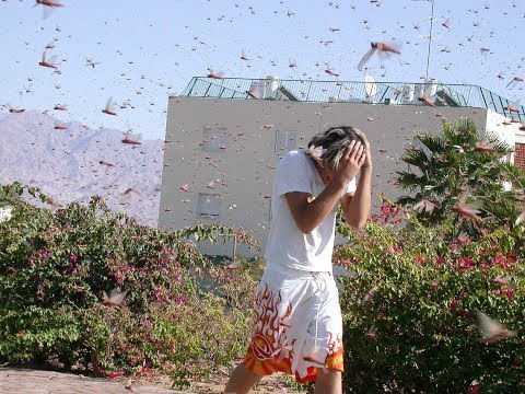 NH Mythic - Tichondrius