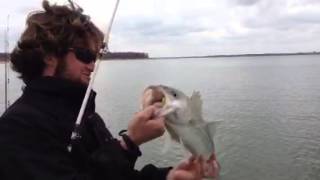preview picture of video 'Lake Texoma Striper Fishing Sparky's Guide Service 580-916-2293 Striper Fishing'