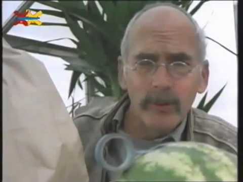 Mittendrin 13 in einem Treibhaus   Umweltmagazin mit Peter Lustig