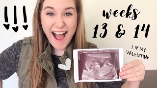 Pregnancy Week 13-14 | Nub Theory