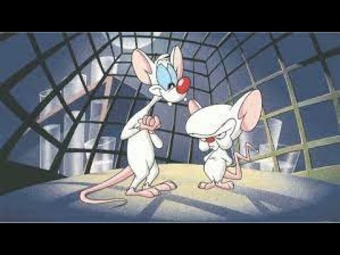 PINK E O CEREBRO O FILME (DESENHOS ANOS 80 E 90)