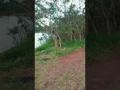 BORA SE REFRESCAR NA REPRESA NHOZINHO/SANTA ERNESTINA- SP
