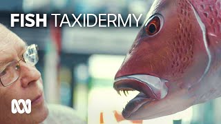 The art of fish taxidermy 🐠 | ABC Australia