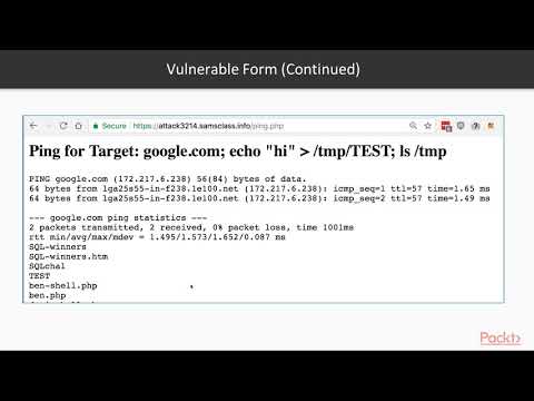 Binary Exploits with Python :  Ping Form (with Challenge)   | packtpub.com