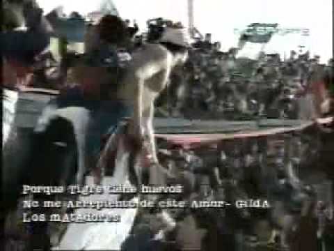 "Porque yo soy del Matador (El Aguante - 1997)" Barra: La Barra Del Matador &bull; Club: Tigre