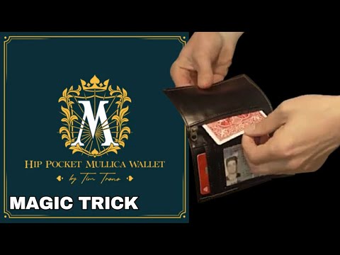 Hip Pocket Mullica Wallet by Tim Trono
