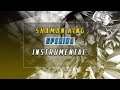 Shaman King Opening(Instrumental) 
