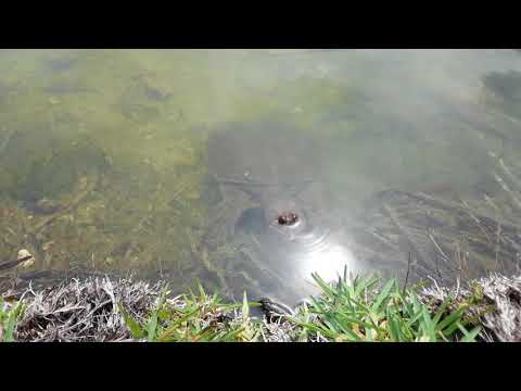 Fairchild Tropical Botanic Garden. Miami,Fl. March 31,2018