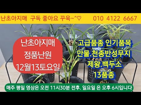 유튜브 썸네일