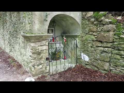 Wanderung zur Burgruine SCHARFENECK - erste Eindrücke am Weg...