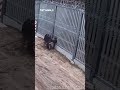 Polish Border Guards Stop Migrants Cutting Through Barrier