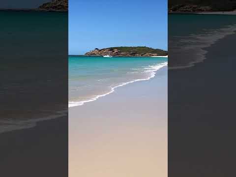🐠 Great Keppel Island Highlights #queenslandtourism #greatkeppelisland #yeppoon #australianbeach