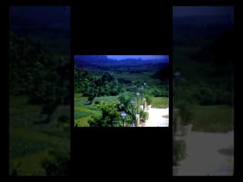 Viñales, Cuba, finales de los 50's y su verde y hermoso paisaje.