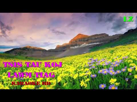 Tsi tau yuav koj lawm tiag karaoke.