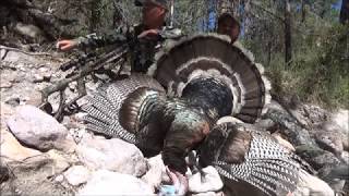 Arizona Gould's Turkey Hunt with Pat Feldt and Mike Ewell