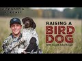 Raising a Bird Dog: Jake Delger’s First Pup Journey | Birddoggin' Podcast S2E8