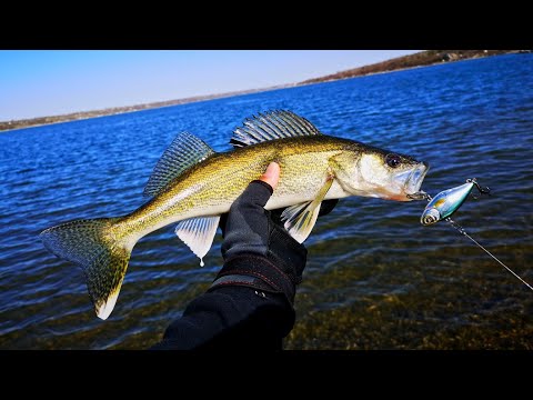 Wader Fishing for Spring Walleye on a Sandbar (First Walleye on Lipless Crank!)