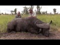 Caprivi Buffalo Hunting With Roger Kenner