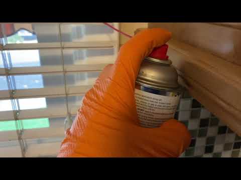 Ants Infest Kitchen via the Window in Freehold, NJ